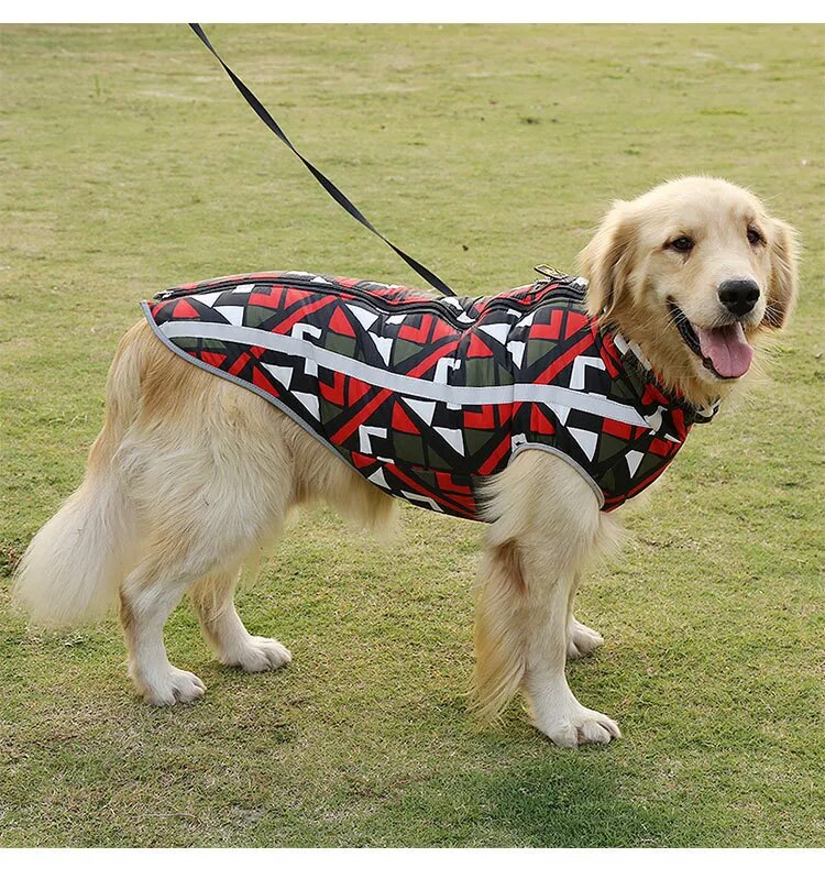 Winter Vest Coat for Dogs Winter Vest Coat for Dogs