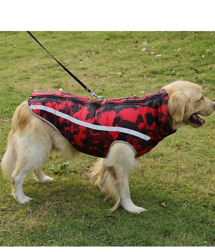 Winter Vest Coat for Dogs Winter Vest Coat for Dogs