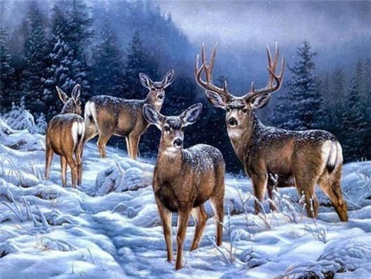 Winter Elk Diamond Painting Winter Elk Diamond Painting