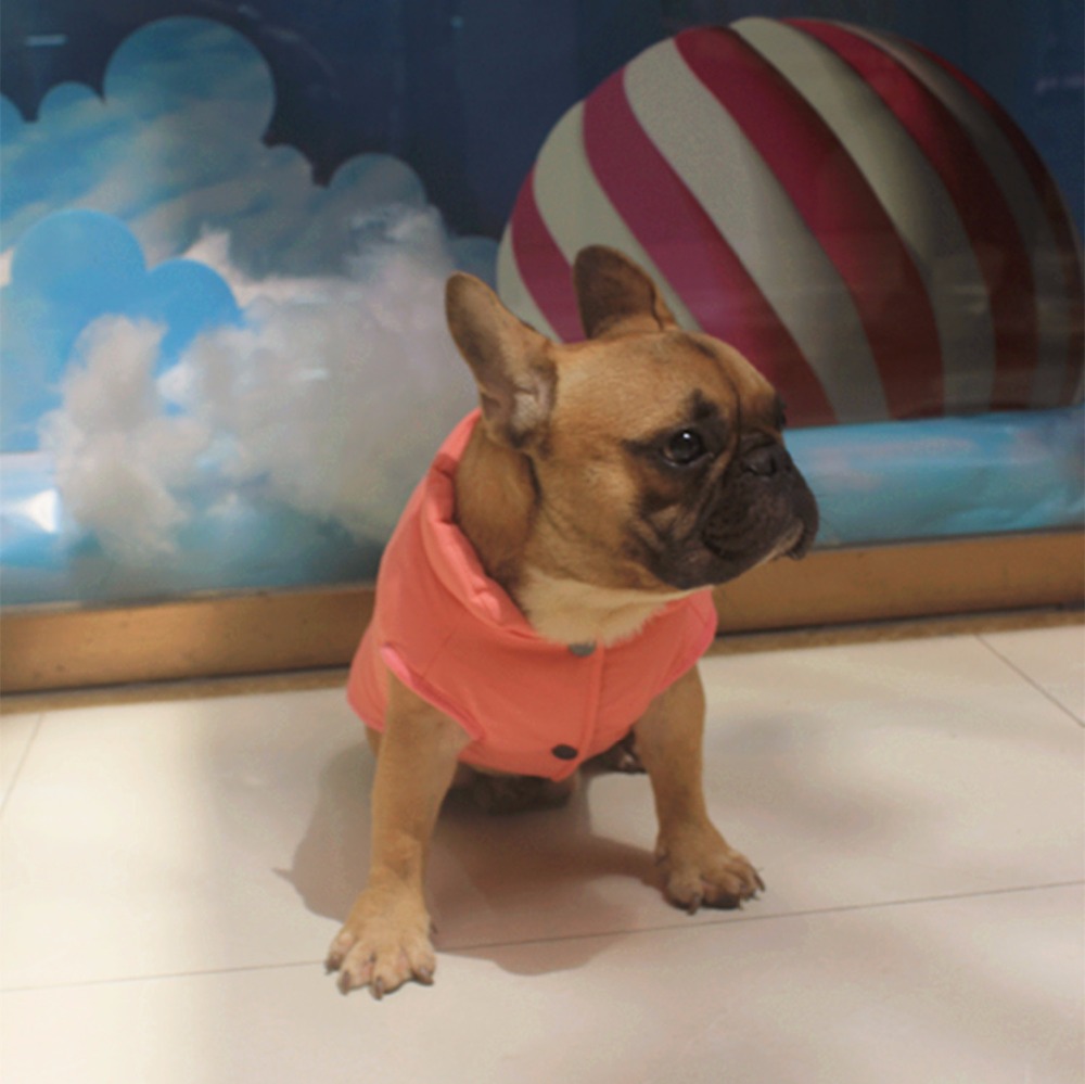 Warm Winter Dog Vest Warm Winter Dog Vest