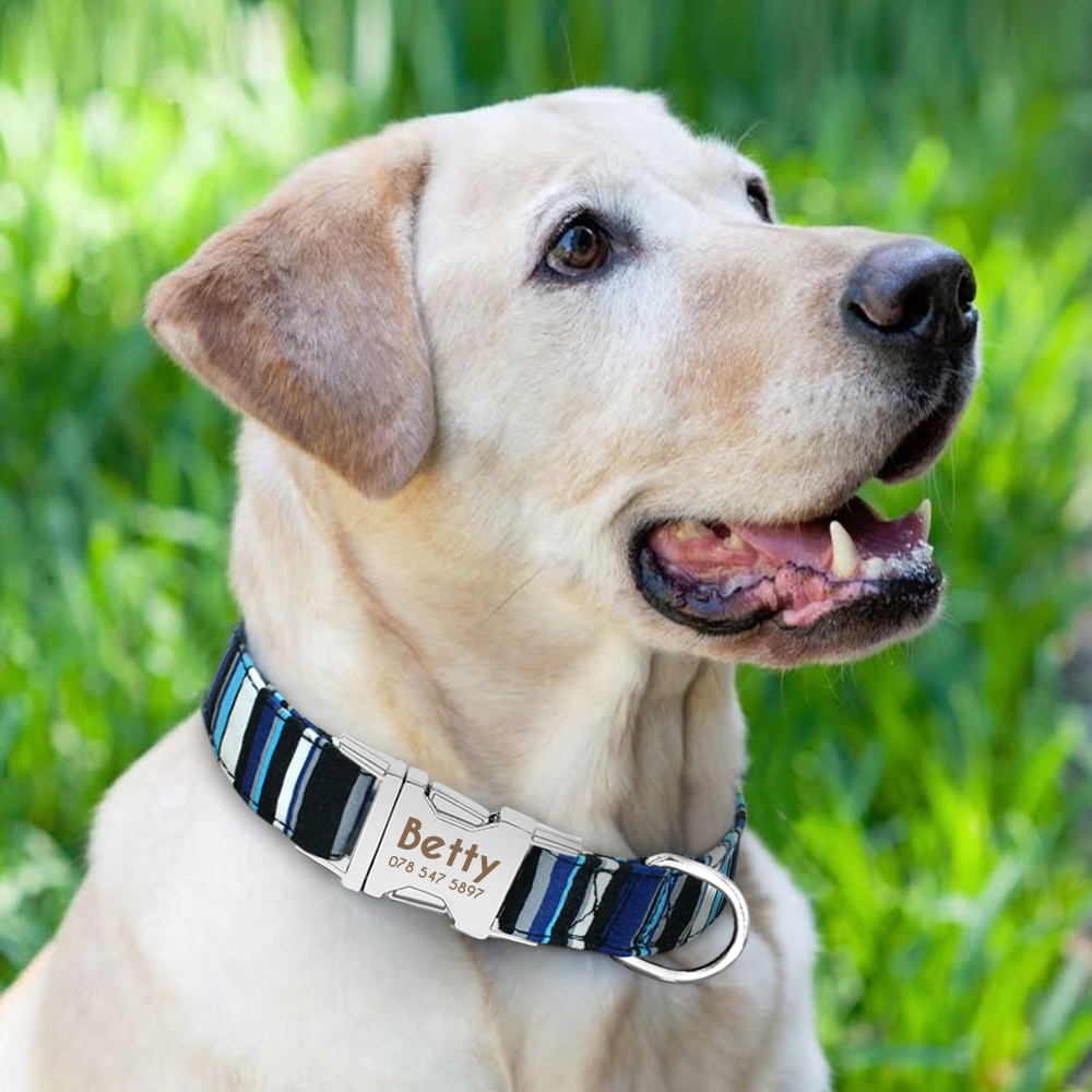 Dog Personalized Nylon Collar Dog Personalized Nylon Collar