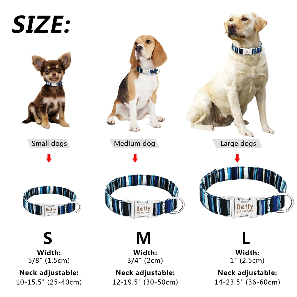 Dog Personalized Nylon Collar Dog Personalized Nylon Collar