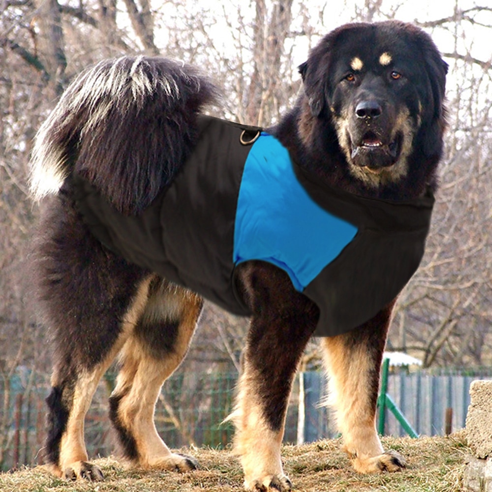 Winter Jacket For Small/Big Dogs Winter Jacket For Small/Big Dogs
