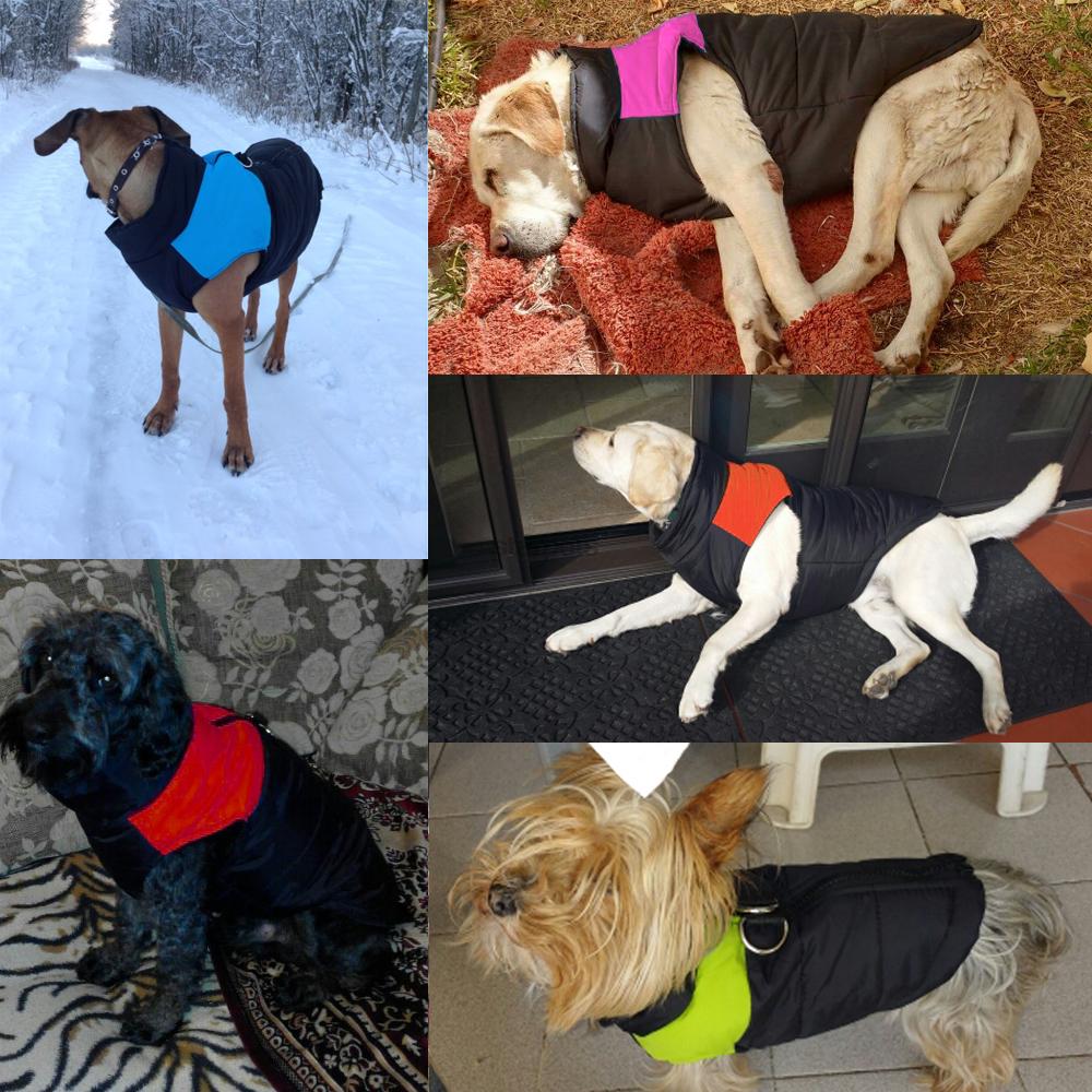 Winter Jacket For Small/Big Dogs Winter Jacket For Small/Big Dogs