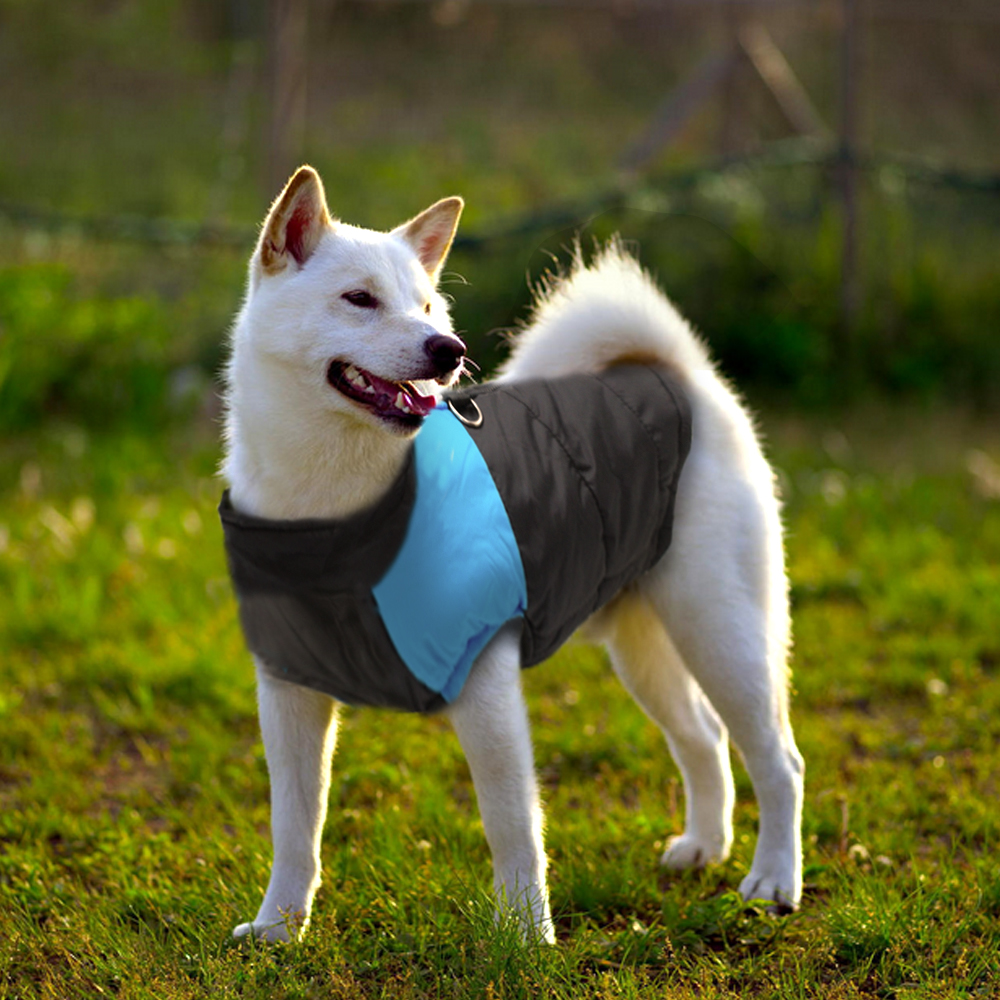 Winter Jacket For Small/Big Dogs Winter Jacket For Small/Big Dogs