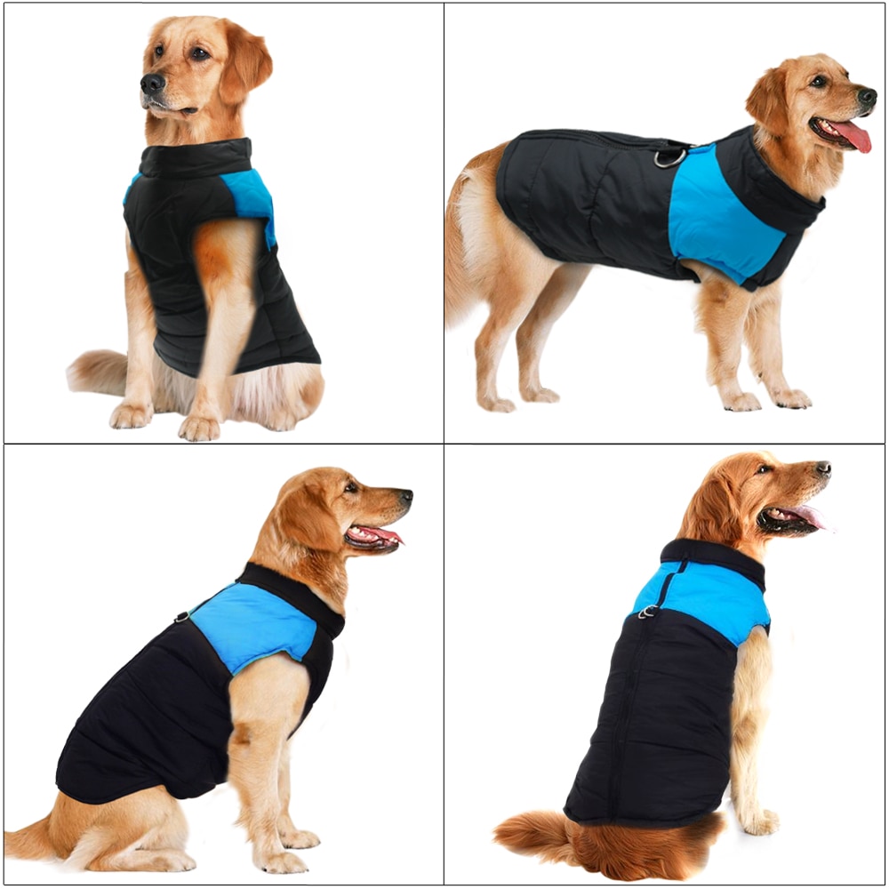 Winter Jacket For Small/Big Dogs Winter Jacket For Small/Big Dogs