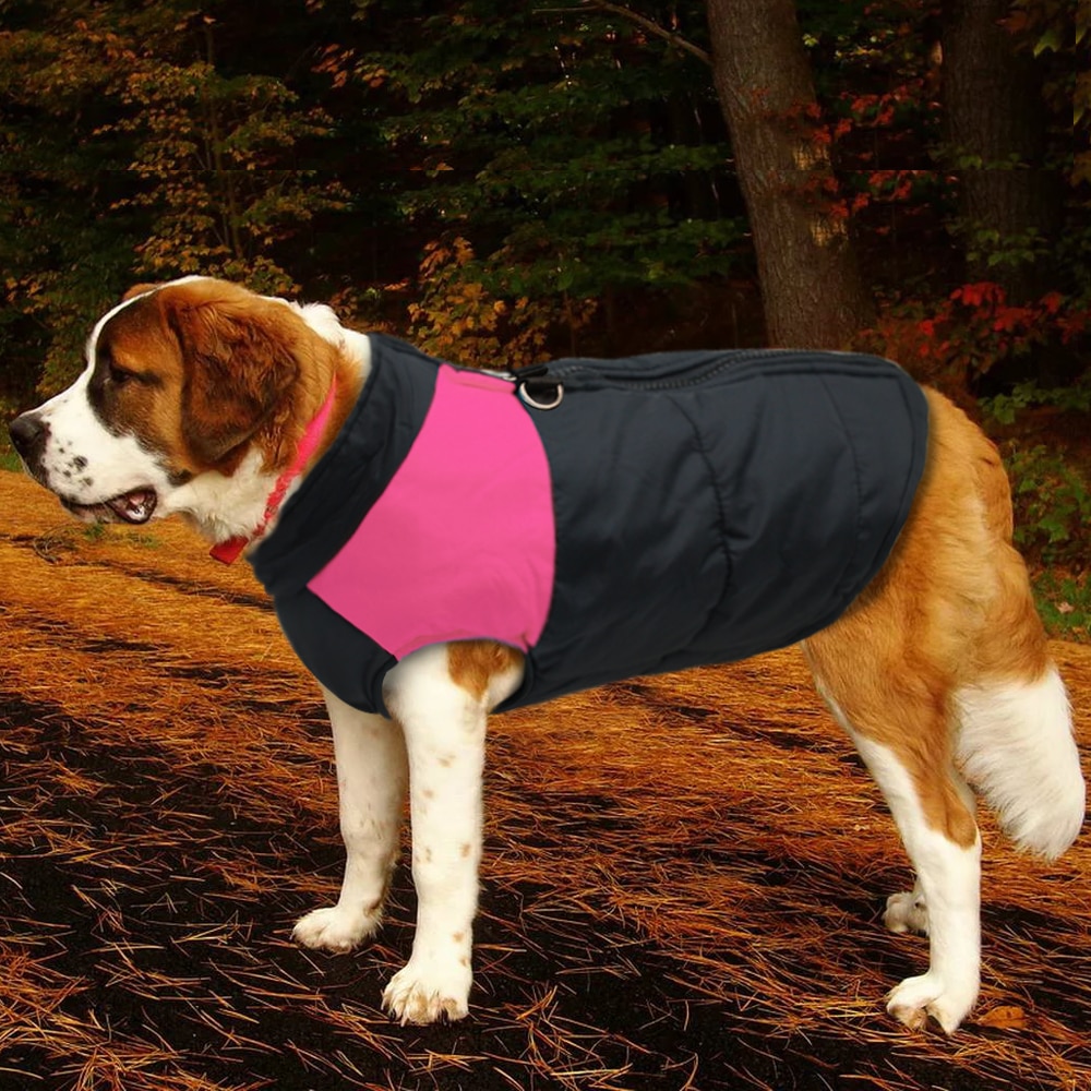 Winter Jacket For Small/Big Dogs Winter Jacket For Small/Big Dogs