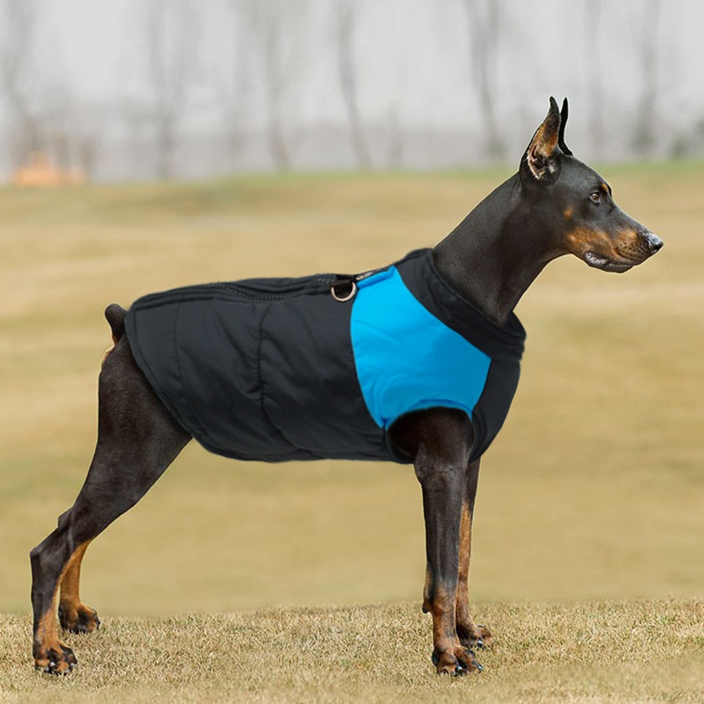 Winter Jacket For Small/Big Dogs Winter Jacket For Small/Big Dogs