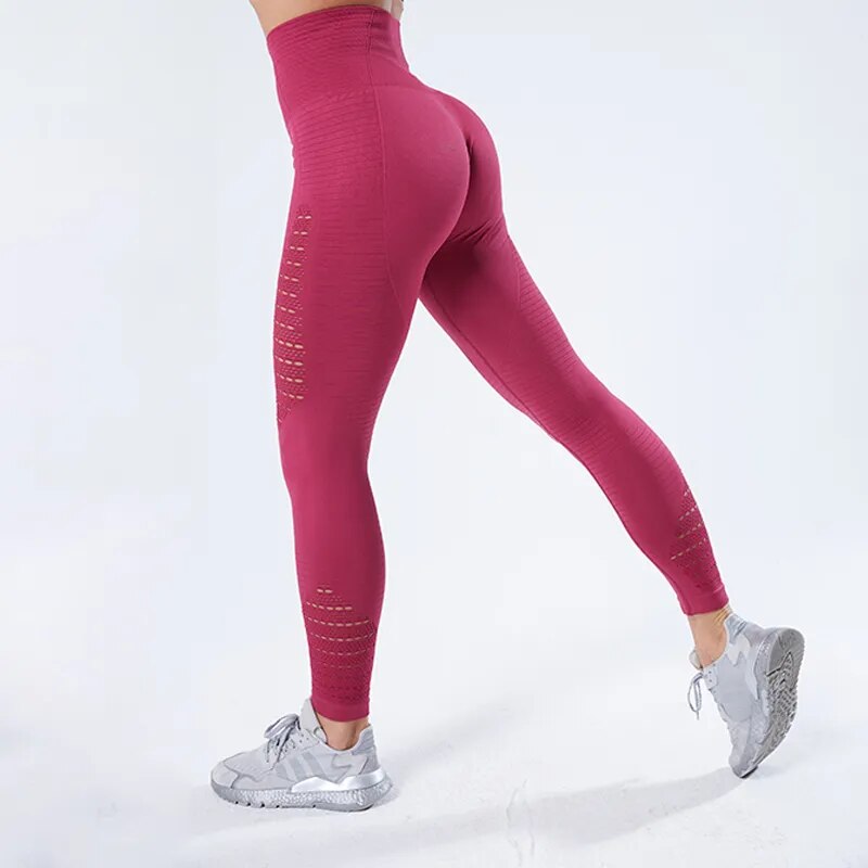 Seamless Sports Shorts and Leggings Seamless Sports Shorts and Leggings