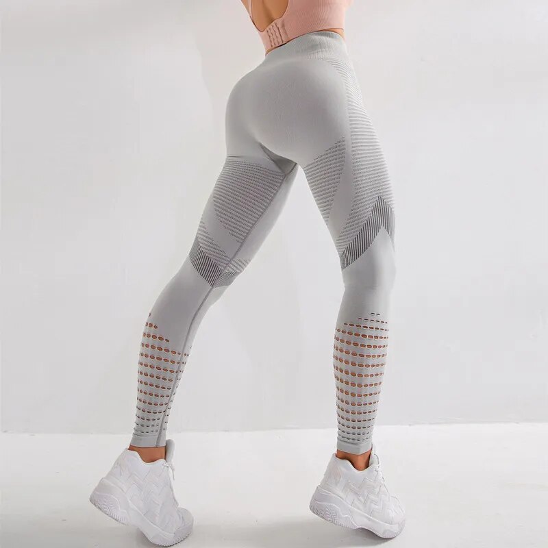 Seamless Sports Shorts and Leggings Seamless Sports Shorts and Leggings