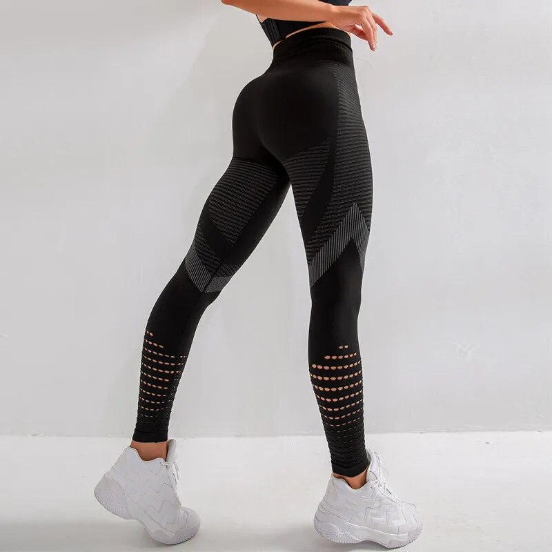 Seamless Sports Shorts and Leggings Seamless Sports Shorts and Leggings